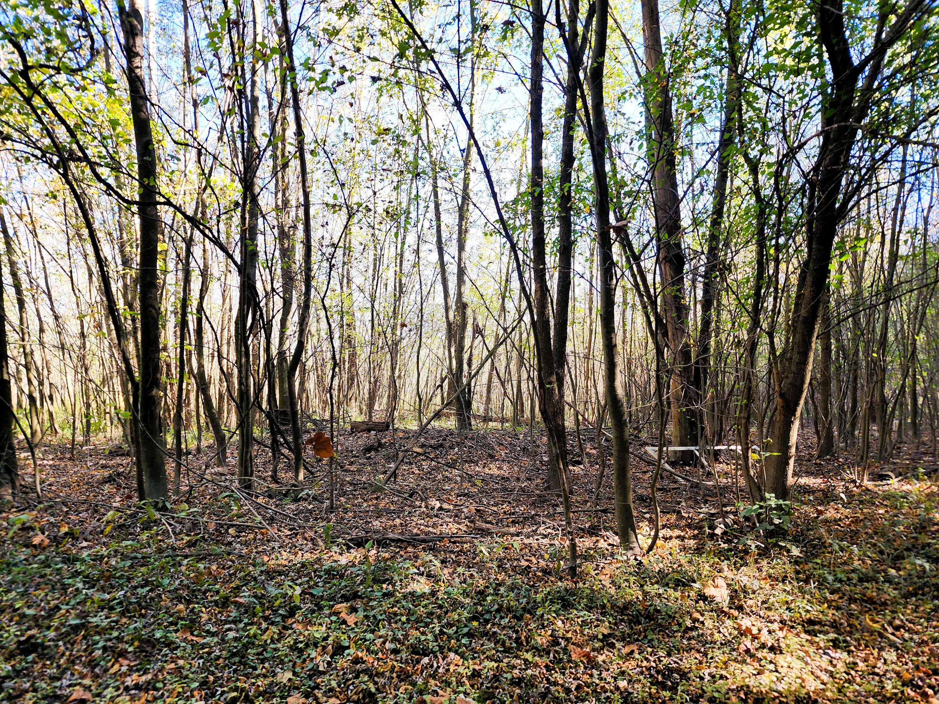 3063 Township Road 247, De Graff, Ohio 43318