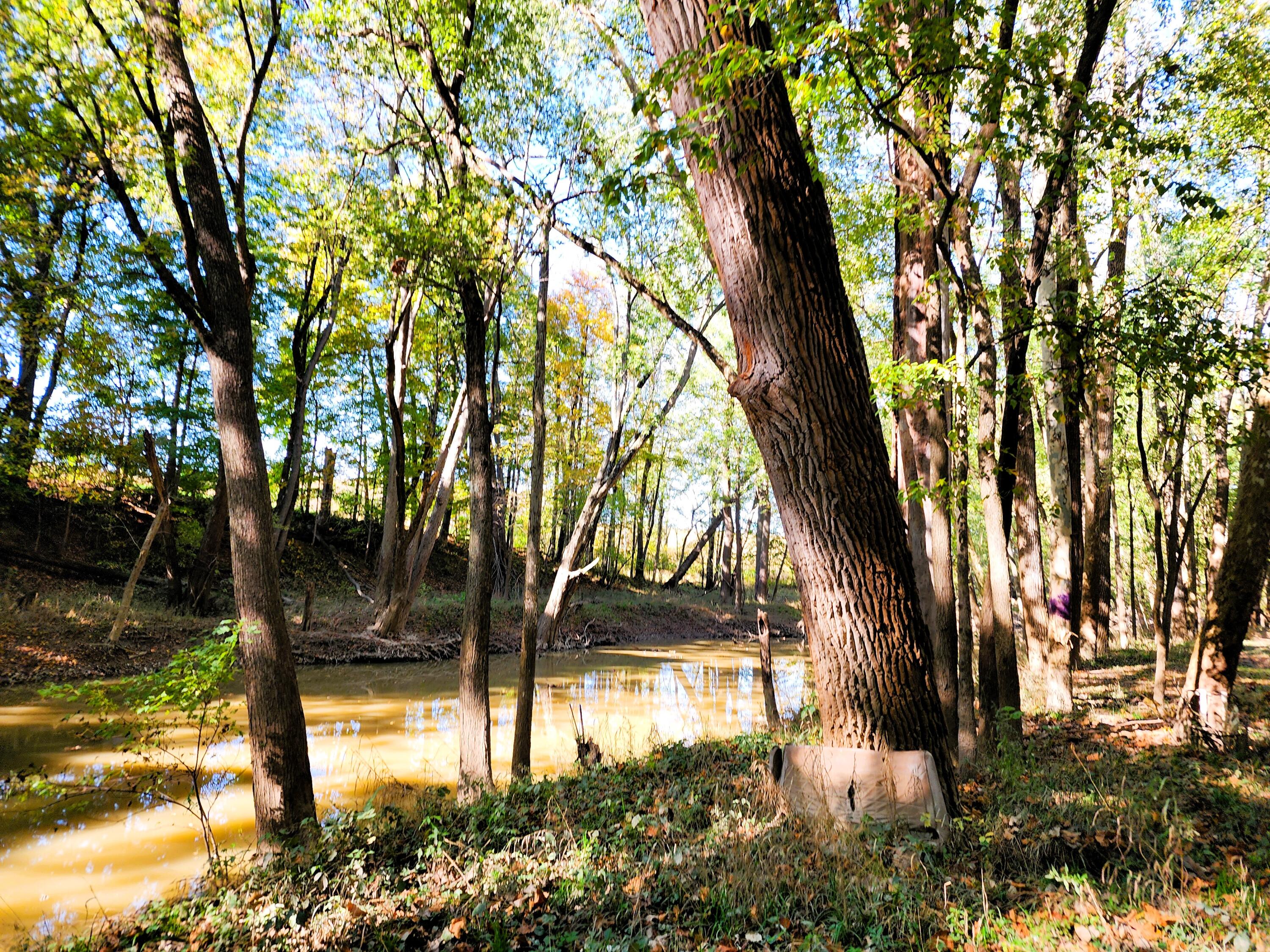 3063 Township Road 247, De Graff, Ohio 43318