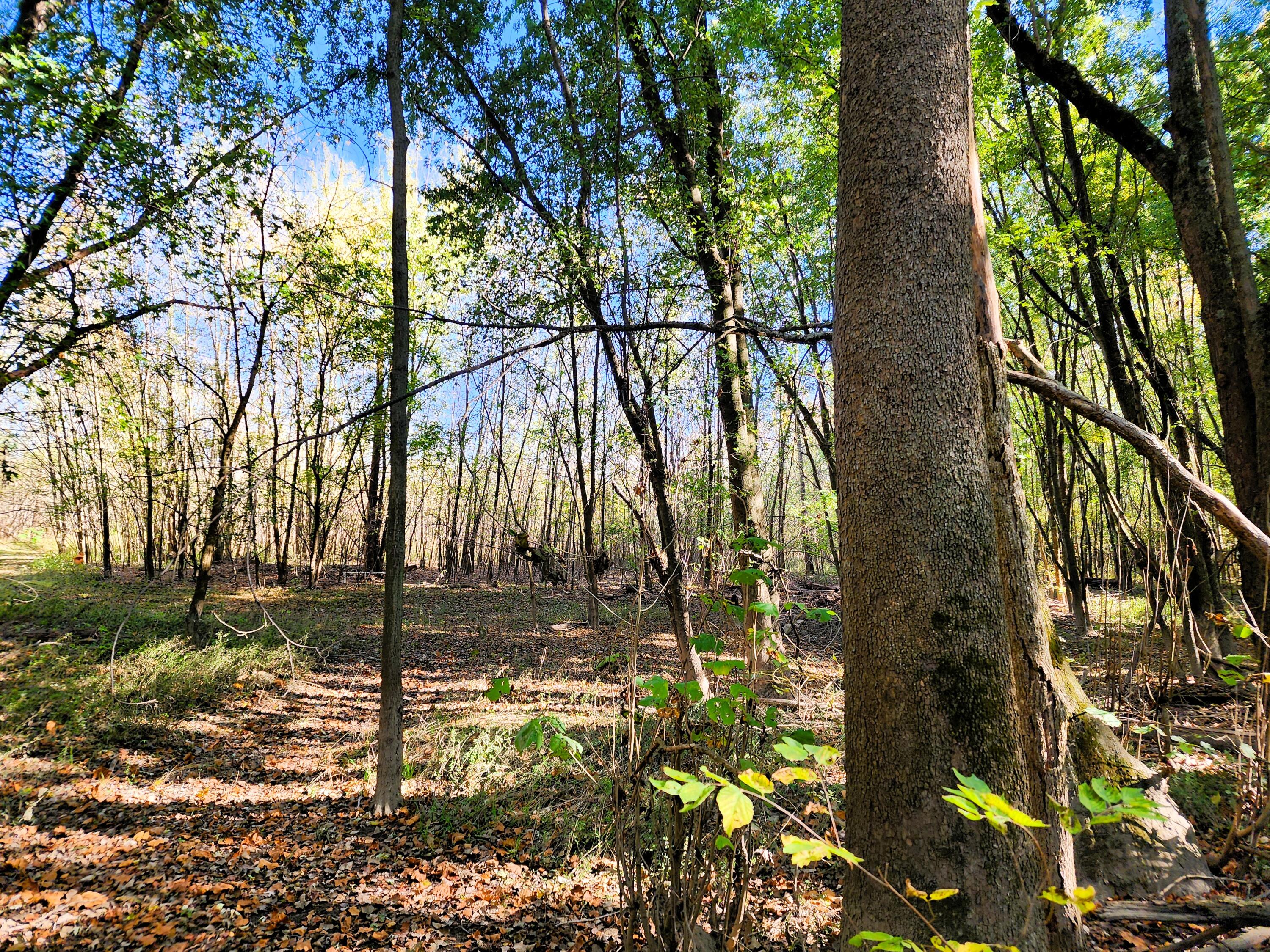 3063 Township Road 247, De Graff, Ohio 43318