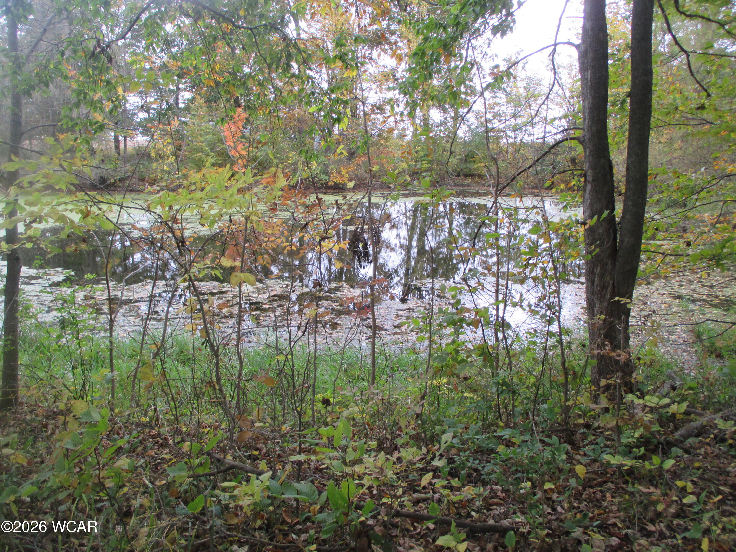 9509 Road 15, Ottawa, Ohio