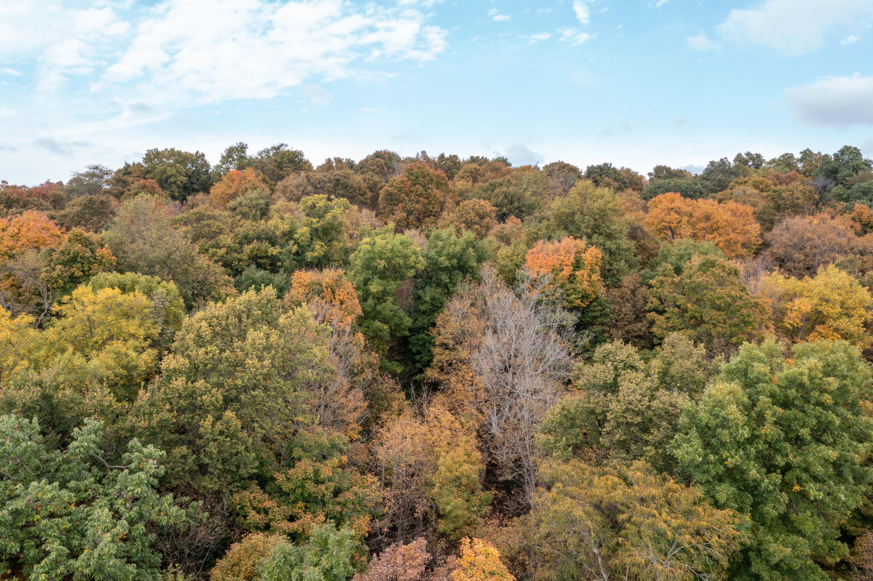 0 State Route 292, Lot G, Zanesfield, Ohio 43360