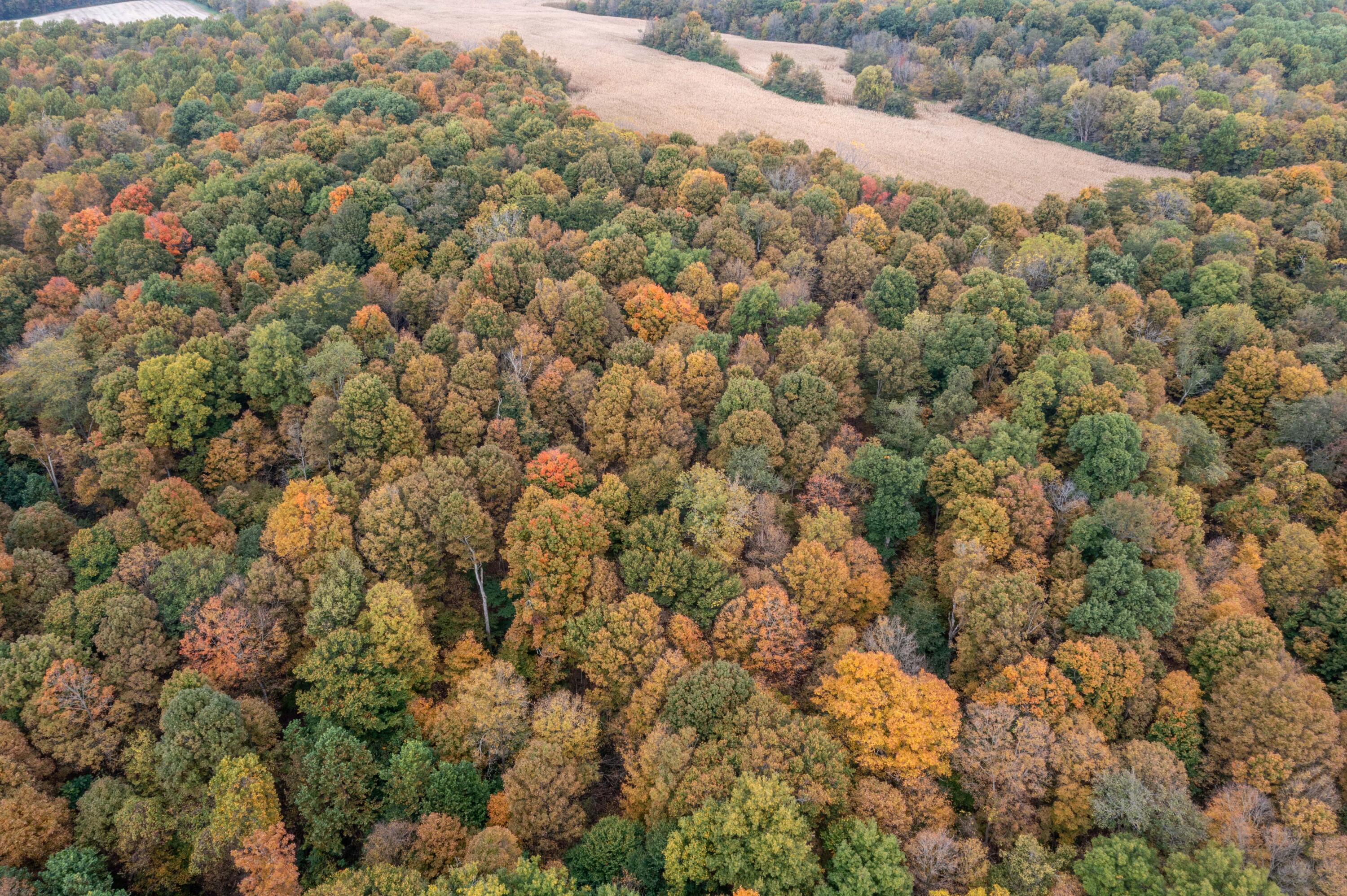 0 State Route 292, Lot G, Zanesfield, Ohio 43360
