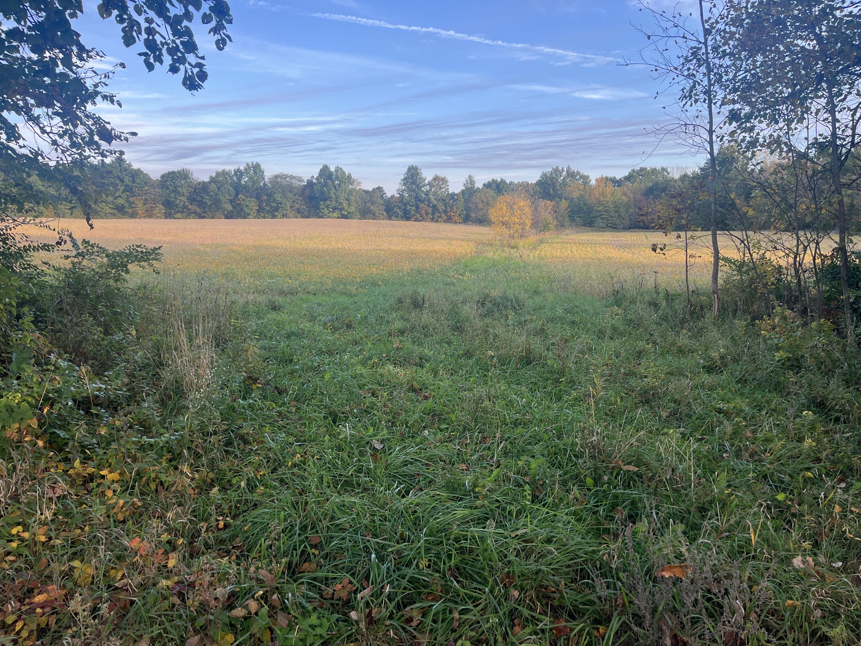 21025 Cotton Slash, Marysville, Ohio 43040