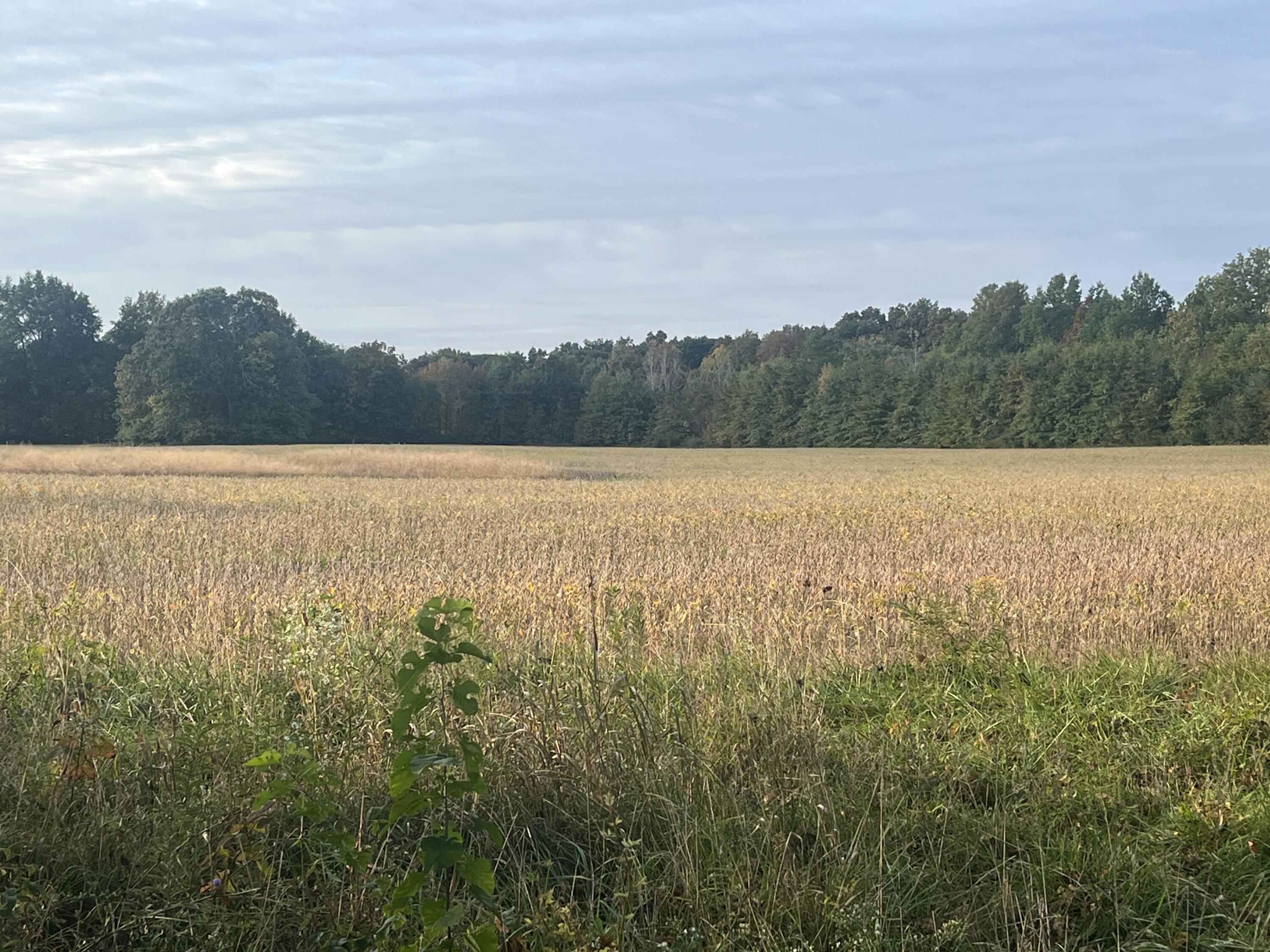 21025 Cotton Slash, Marysville, Ohio 43040