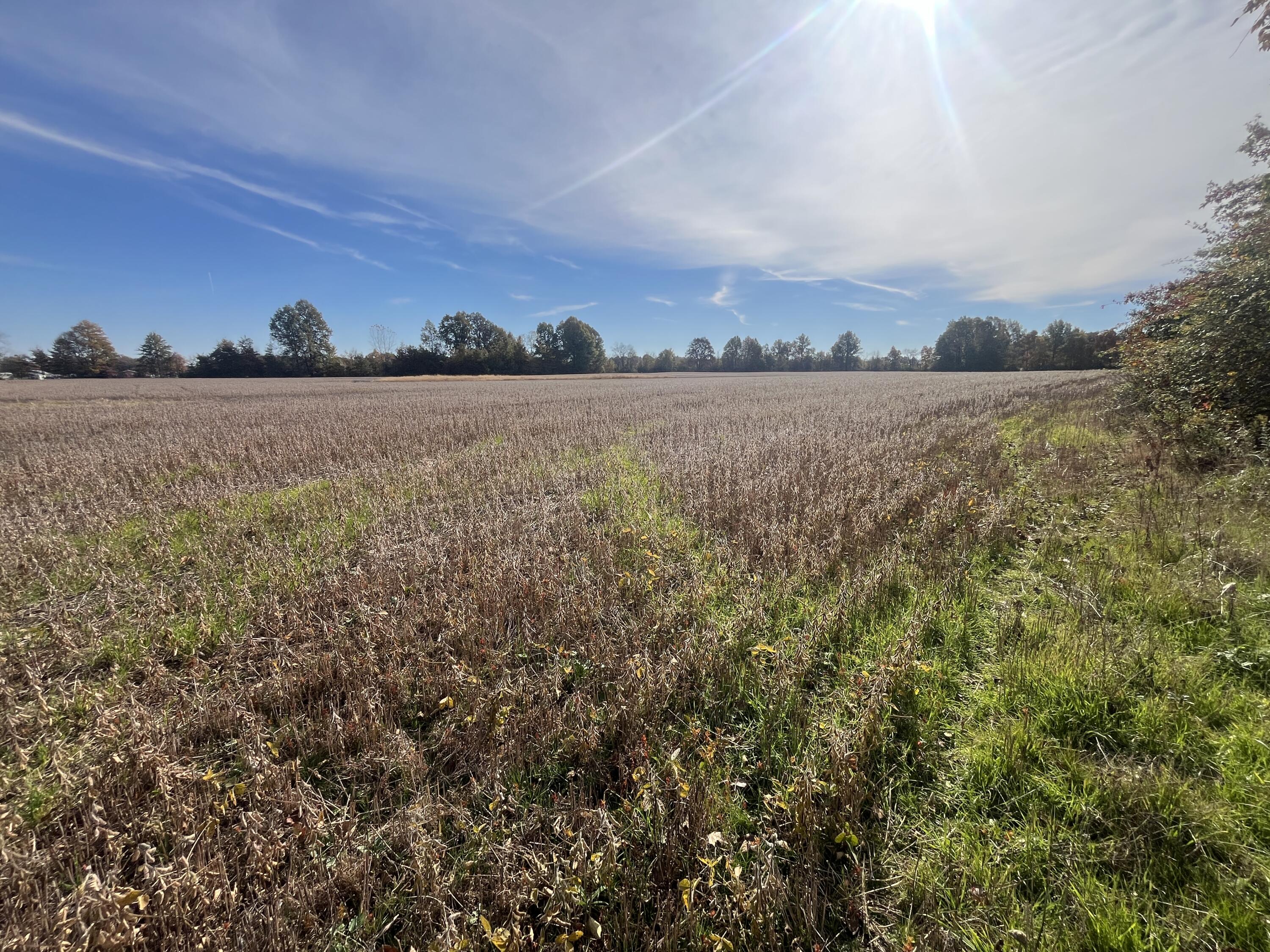 21025 Cotton Slash, Marysville, Ohio 43040