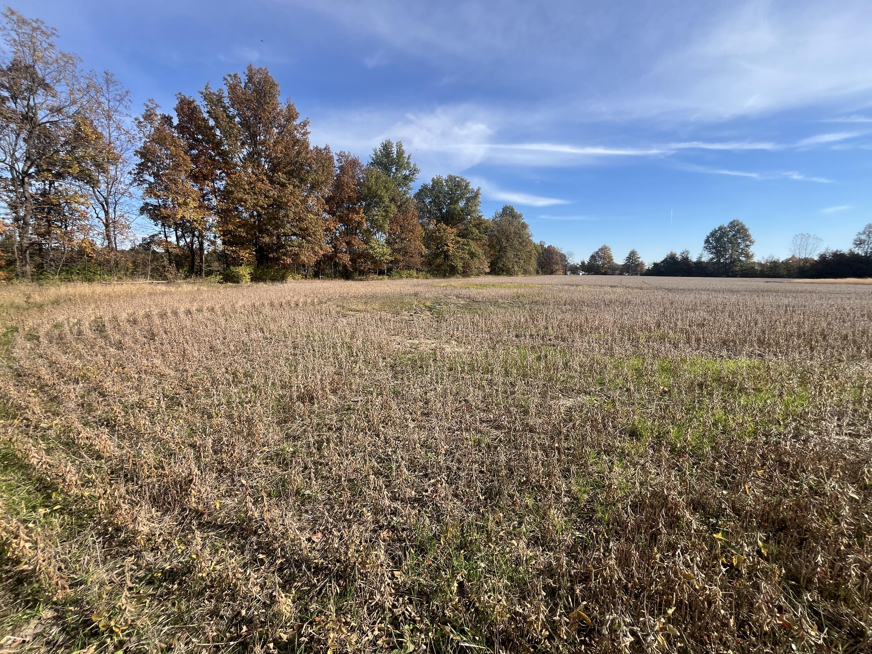 21025 Cotton Slash, Marysville, Ohio 43040