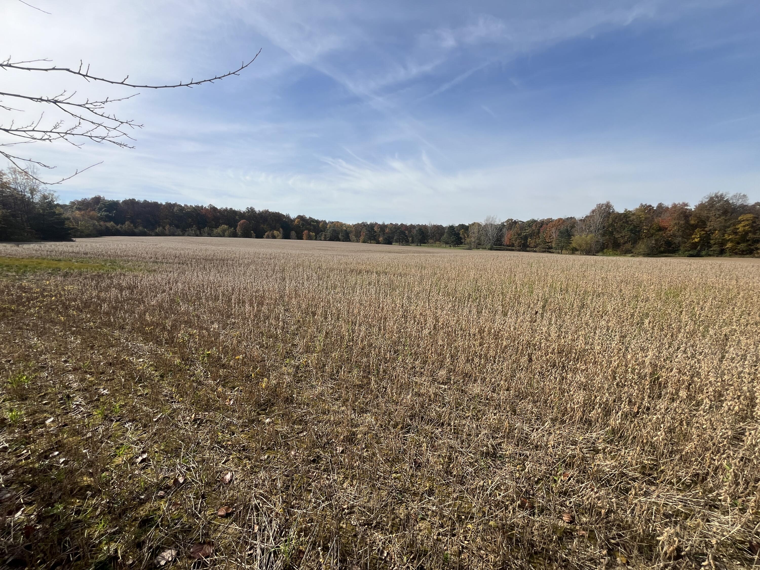 21025 Cotton Slash, Marysville, Ohio 43040