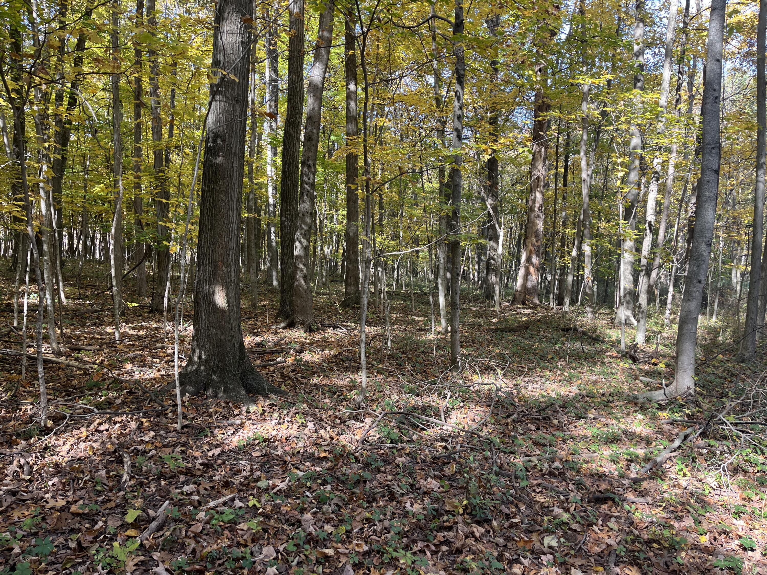21025 Cotton Slash, Marysville, Ohio 43040