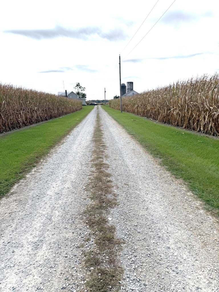Apx. 100 ac Wyandot County, Mifflin Twp.-$17,000/ac