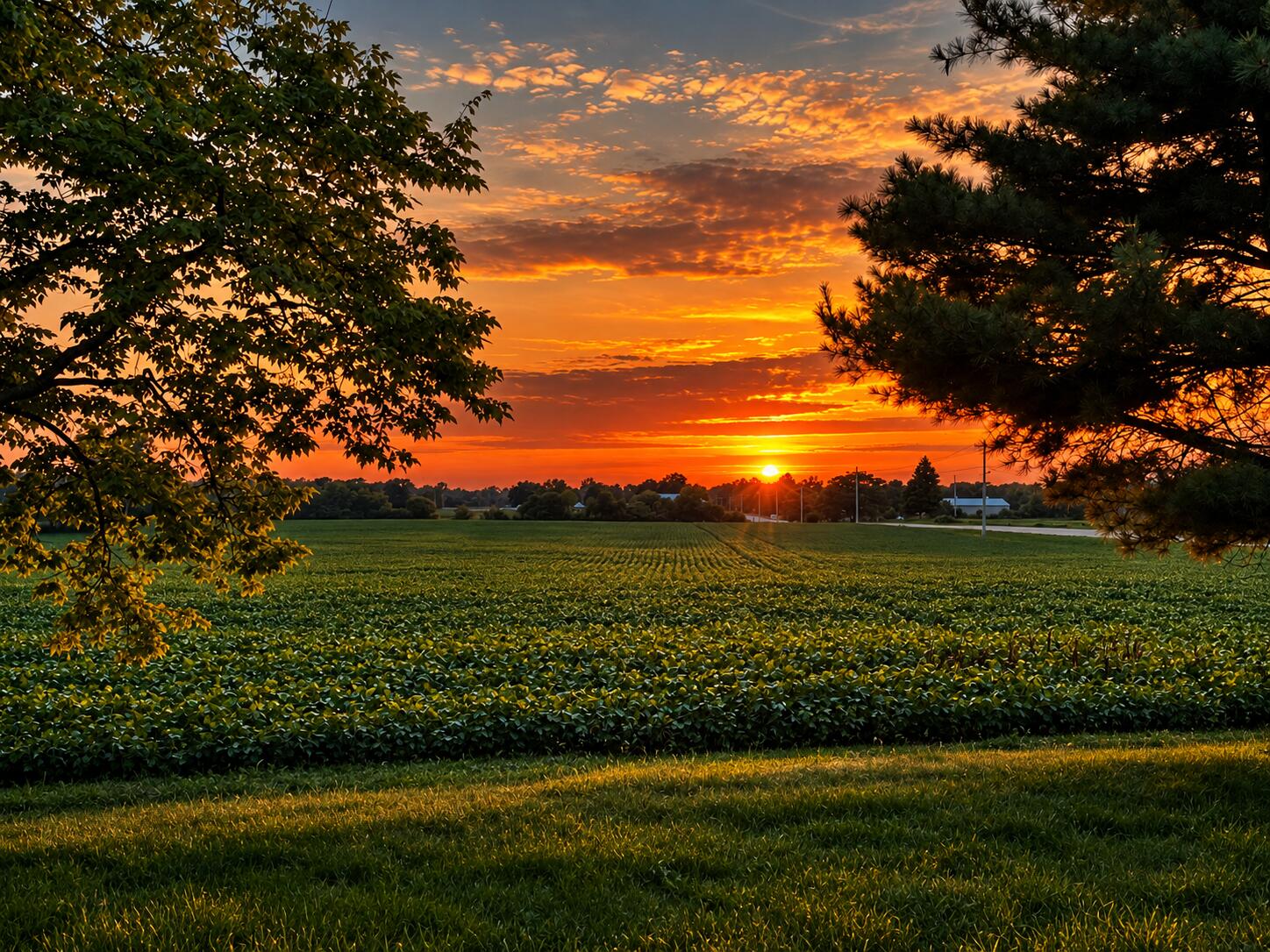 12223 Troy, New Carlisle, Ohio 45344
